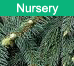 Nursery